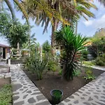Tropical Icod 3*