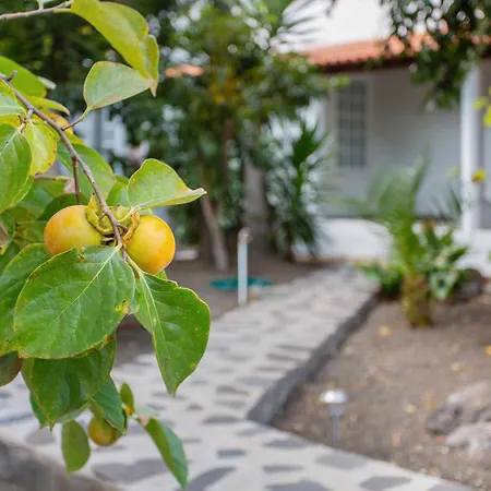 Tropical Icod Maison d'hôtes Icod De Los Vinos