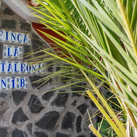 Tropical Icod Gasthof