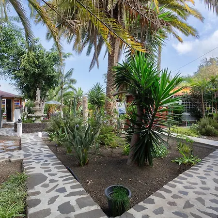 Tropical Icod 3*