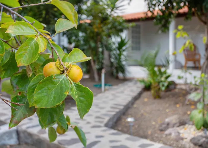 Tropical Icod Guest house Icod De Los Vinos