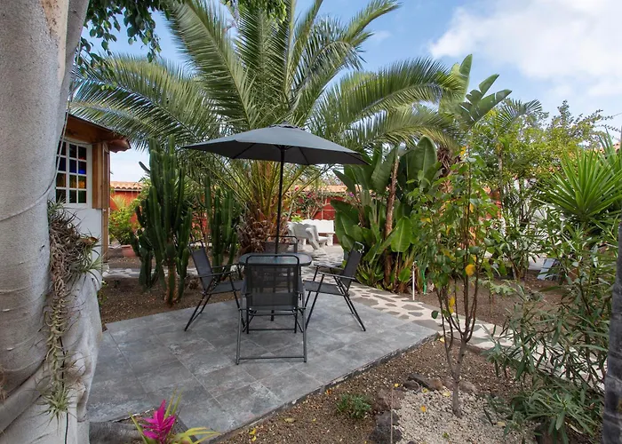 Tropical Icod Guest house Icod De Los Vinos